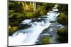 River amidst forest, Portland, Oregon, USA-Panoramic Images-Mounted Photographic Print