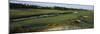 River and a Golf Course, Ocean Course, Kiawah Island Golf Resort, Kiawah Island-null-Mounted Photographic Print