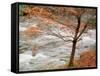 River and Autumn Leaves-null-Framed Stretched Canvas