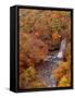 River and Autumn Leaves-null-Framed Stretched Canvas