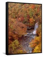 River and Autumn Leaves-null-Framed Stretched Canvas