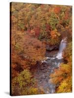 River and Autumn Leaves-null-Stretched Canvas