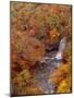 River and Autumn Leaves-null-Mounted Premium Photographic Print