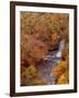 River and Autumn Leaves-null-Framed Premium Photographic Print