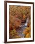 River and Autumn Leaves-null-Framed Premium Photographic Print