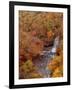River and Autumn Leaves-null-Framed Premium Photographic Print