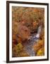 River and Autumn Leaves-null-Framed Photographic Print