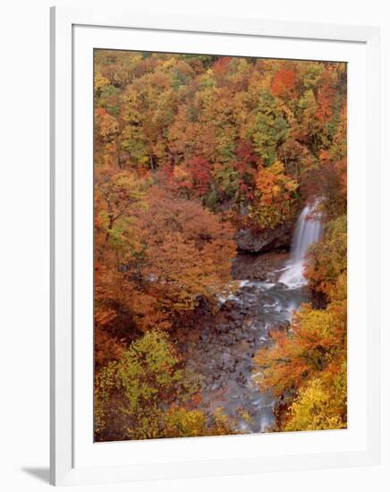 River and Autumn Leaves-null-Framed Photographic Print