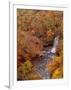 River and Autumn Leaves-null-Framed Photographic Print