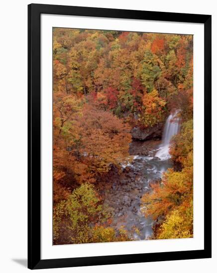 River and Autumn Leaves-null-Framed Photographic Print