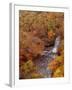 River and Autumn Leaves-null-Framed Photographic Print