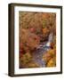 River and Autumn Leaves-null-Framed Photographic Print