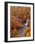 River and Autumn Leaves-null-Framed Photographic Print