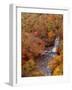 River and Autumn Leaves-null-Framed Photographic Print