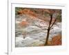 River and Autumn Leaves-null-Framed Photographic Print