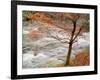 River and Autumn Leaves-null-Framed Photographic Print