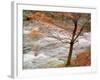 River and Autumn Leaves-null-Framed Photographic Print