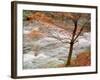 River and Autumn Leaves-null-Framed Photographic Print