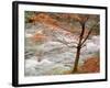 River and Autumn Leaves-null-Framed Photographic Print