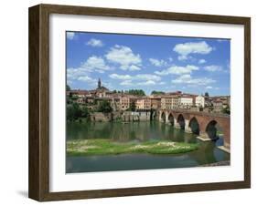 River and Bridge with the Town of Albi in the Background, Tarn Region, Midi Pyrenees, France-Lightfoot Jeremy-Framed Photographic Print