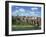 River and Bridge with the Town of Albi in the Background, Tarn Region, Midi Pyrenees, France-Lightfoot Jeremy-Framed Photographic Print