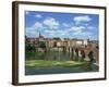 River and Bridge with the Town of Albi in the Background, Tarn Region, Midi Pyrenees, France-Lightfoot Jeremy-Framed Photographic Print