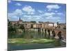 River and Bridge with the Town of Albi in the Background, Tarn Region, Midi Pyrenees, France-Lightfoot Jeremy-Mounted Photographic Print