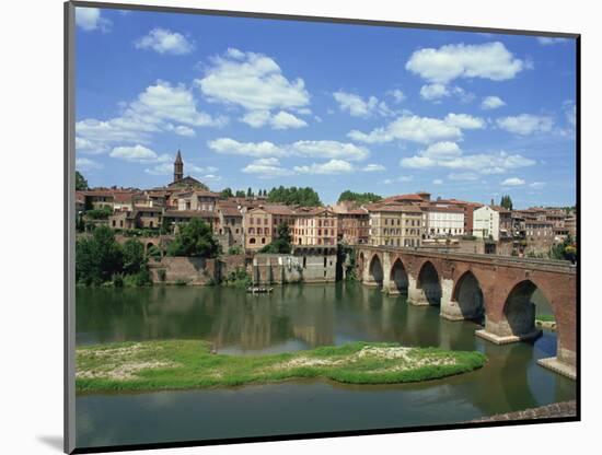 River and Bridge with the Town of Albi in the Background, Tarn Region, Midi Pyrenees, France-Lightfoot Jeremy-Mounted Photographic Print