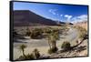 River and Desert, Near Erfoud, Meknes-Tafilalet, Morocco-Peter Adams-Framed Stretched Canvas