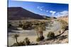 River and Desert, Near Erfoud, Meknes-Tafilalet, Morocco-Peter Adams-Stretched Canvas