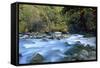 River and Forest, Jigme Dorji National Park, Bhutan-Howie Garber-Framed Stretched Canvas