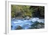 River and Forest, Jigme Dorji National Park, Bhutan-Howie Garber-Framed Photographic Print