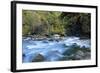 River and Forest, Jigme Dorji National Park, Bhutan-Howie Garber-Framed Photographic Print