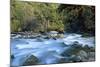 River and Forest, Jigme Dorji National Park, Bhutan-Howie Garber-Mounted Photographic Print