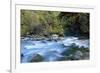 River and Forest, Jigme Dorji National Park, Bhutan-Howie Garber-Framed Photographic Print