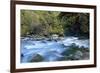 River and Forest, Jigme Dorji National Park, Bhutan-Howie Garber-Framed Photographic Print