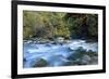 River and Forest, Jigme Dorji National Park, Bhutan-Howie Garber-Framed Photographic Print