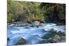 River and Forest, Jigme Dorji National Park, Bhutan-Howie Garber-Mounted Photographic Print