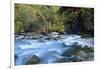 River and Forest, Jigme Dorji National Park, Bhutan-Howie Garber-Framed Photographic Print