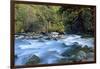 River and Forest, Jigme Dorji National Park, Bhutan-Howie Garber-Framed Photographic Print