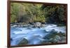 River and Forest, Jigme Dorji National Park, Bhutan-Howie Garber-Framed Photographic Print