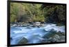 River and Forest, Jigme Dorji National Park, Bhutan-Howie Garber-Framed Photographic Print