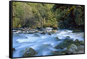 River and Forest, Jigme Dorji National Park, Bhutan-Howie Garber-Framed Stretched Canvas