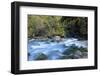 River and Forest, Jigme Dorji National Park, Bhutan-Howie Garber-Framed Photographic Print