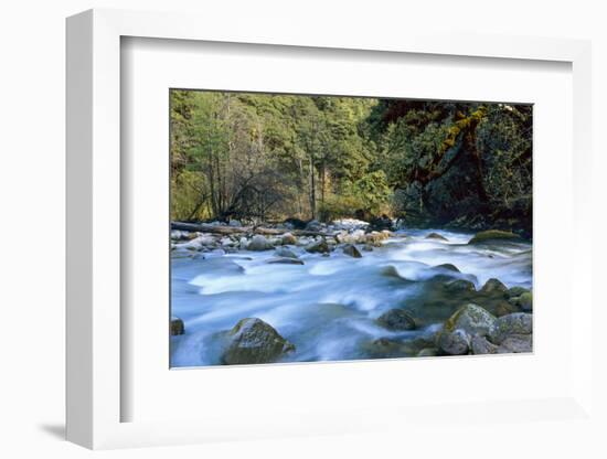 River and Forest, Jigme Dorji National Park, Bhutan-Howie Garber-Framed Photographic Print