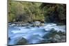 River and Forest, Jigme Dorji National Park, Bhutan-Howie Garber-Mounted Photographic Print