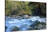 River and Forest, Jigme Dorji National Park, Bhutan-Howie Garber-Stretched Canvas