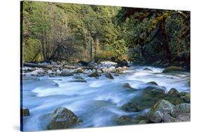 River and Forest, Jigme Dorji National Park, Bhutan-Howie Garber-Stretched Canvas