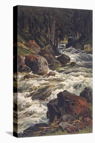 River and Moss-Ernst Heyn-Stretched Canvas