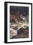 River and Moss-Ernst Heyn-Framed Art Print